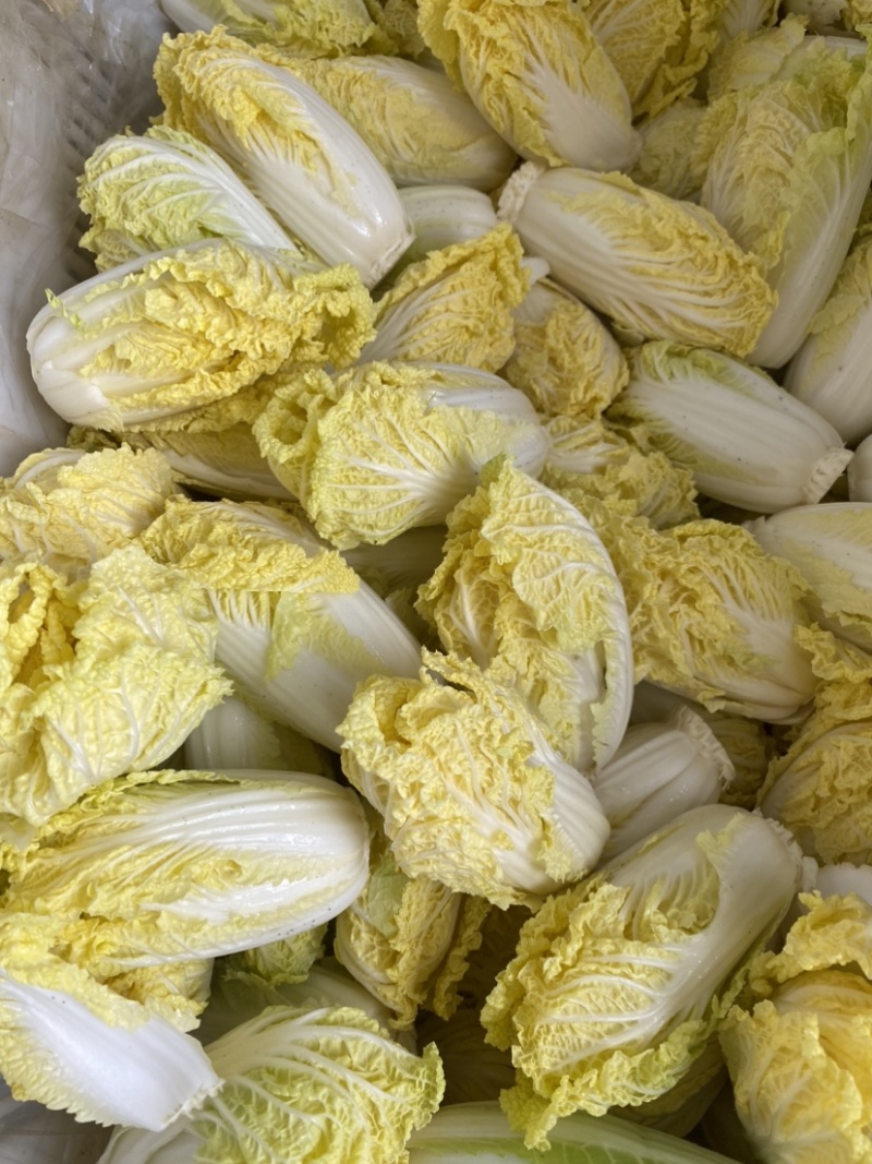 黄金娃娃菜4颗250g