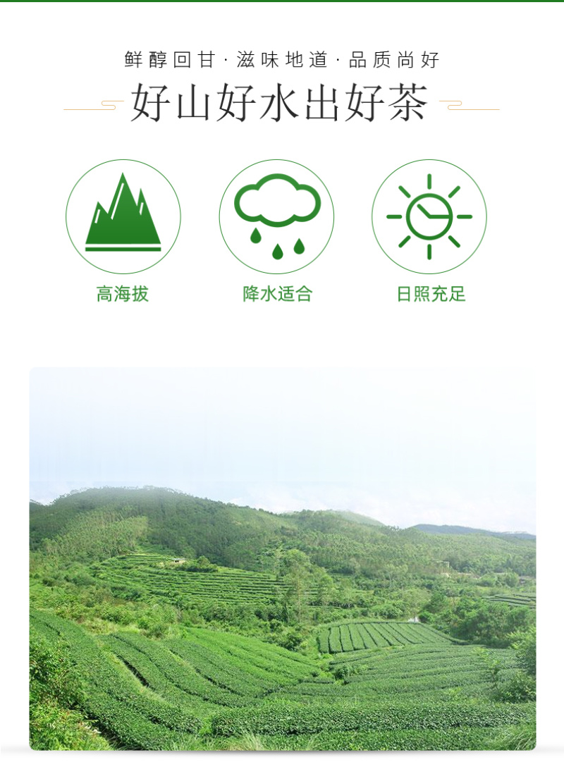 茗皇红乌龙茶112克盒