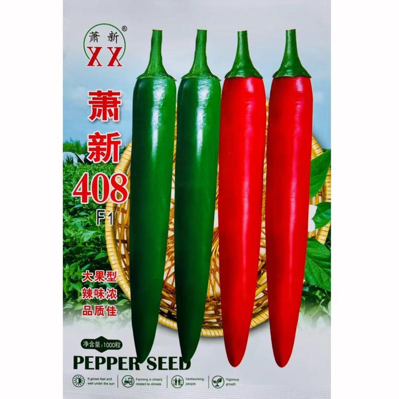 萧新408美人椒品种，杂交一袋中早熟品种青红两用种子