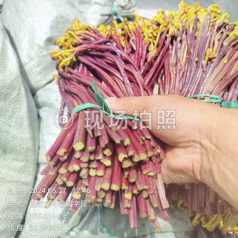 贵州高山蕨菜！产地一手货源！品质好质量保证！每年供应千吨