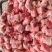 肉食鸡头
