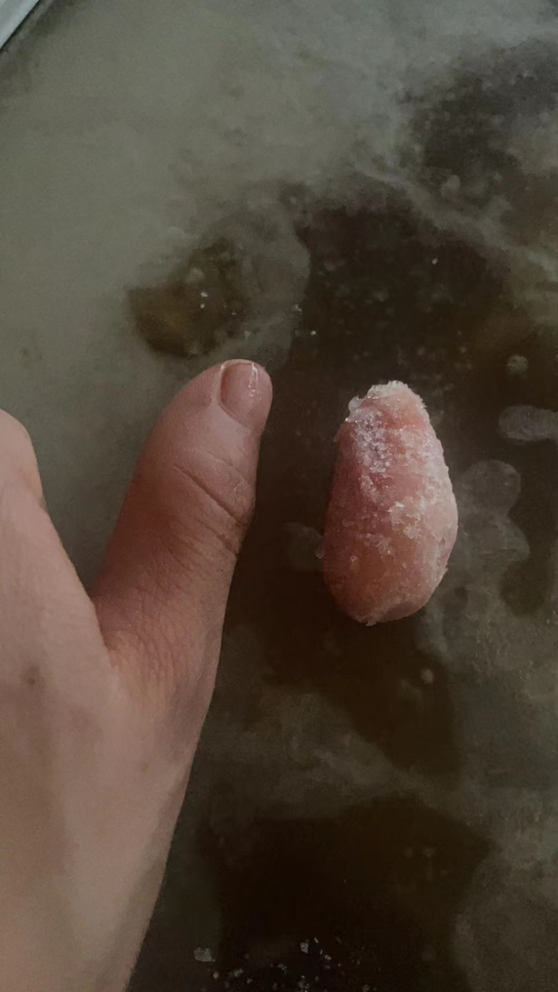 鸡腰子，公鸡蛋