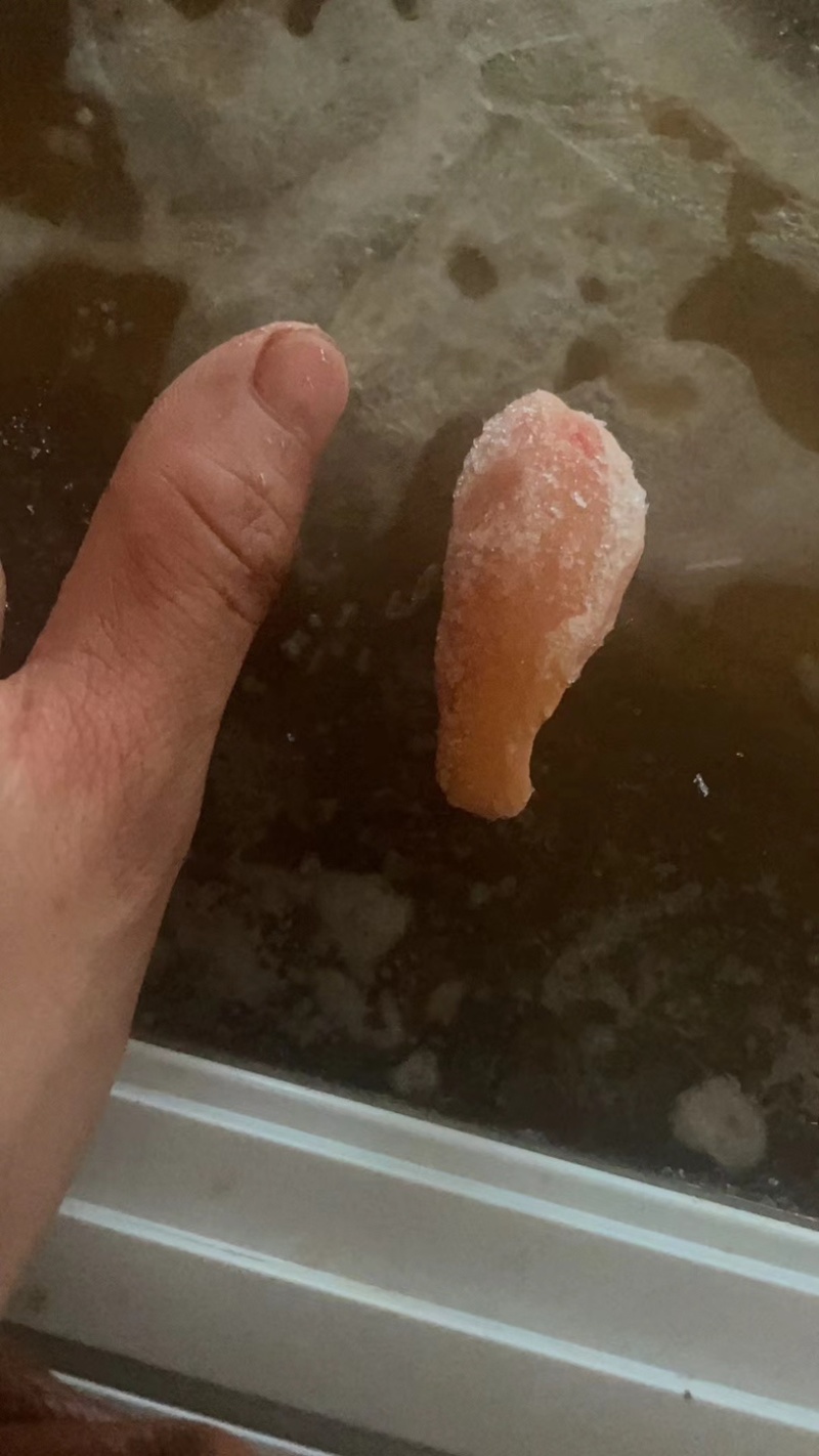 鸡腰子，公鸡蛋