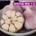 大蒜干蒜