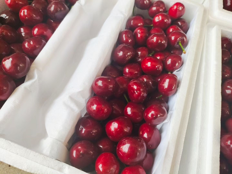 车厘子保存方式