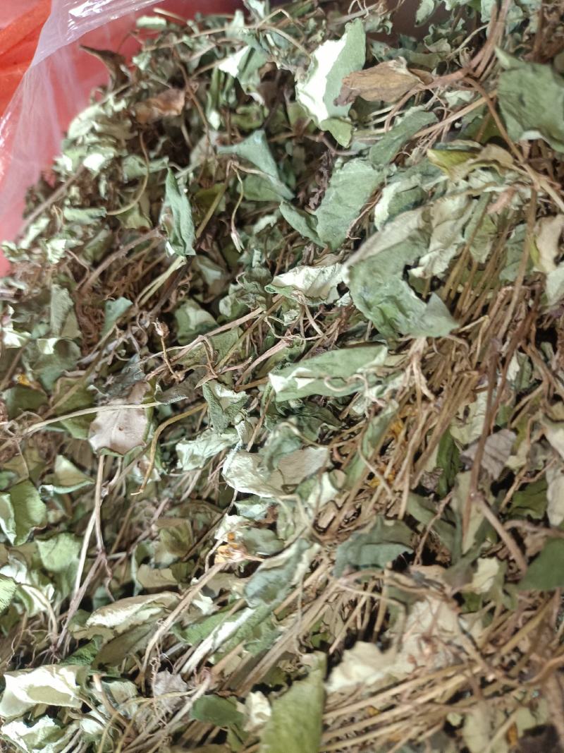 大叶金钱草，纯野生，无杂质，货源充足
