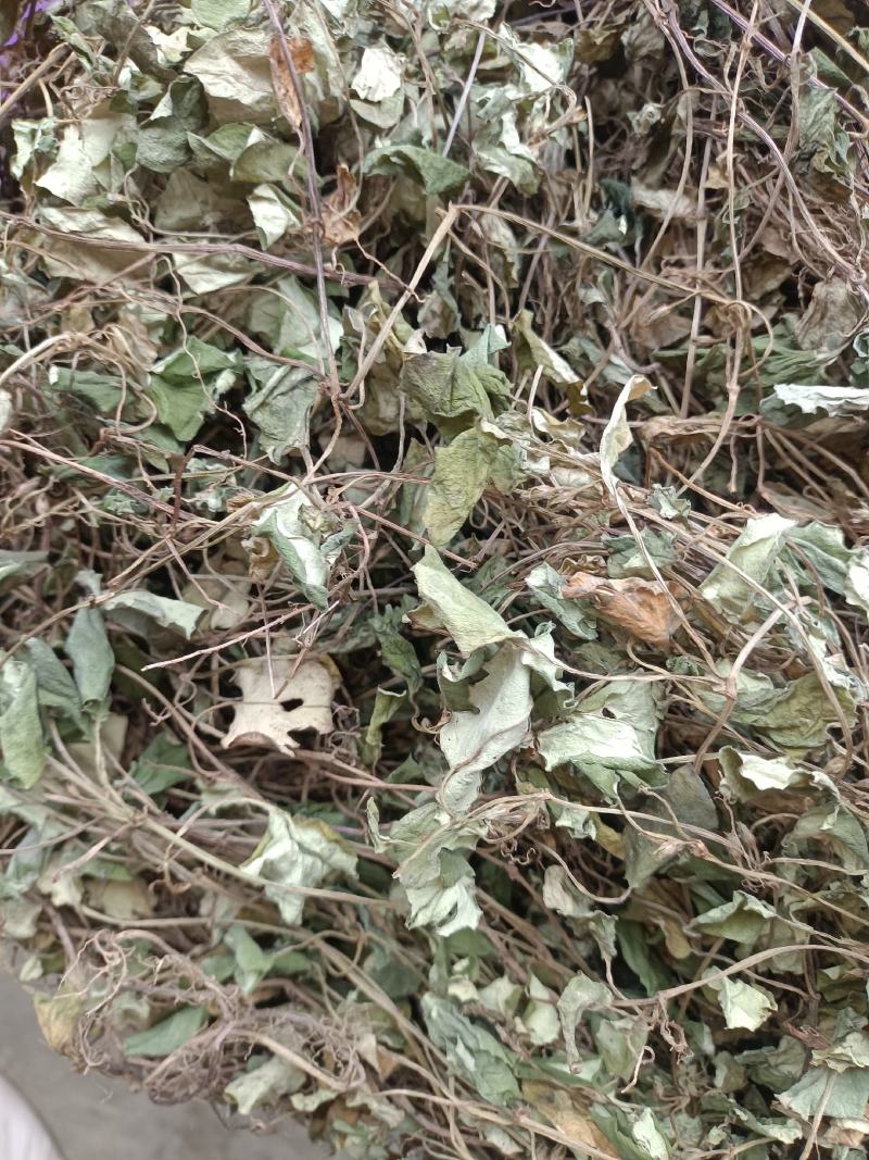 大叶金钱草，纯野生，无杂质，货源充足