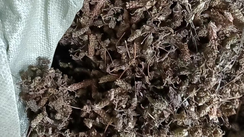 野生夏枯球上货了需要的联系贵州货野生的量不大需要抓紧下单