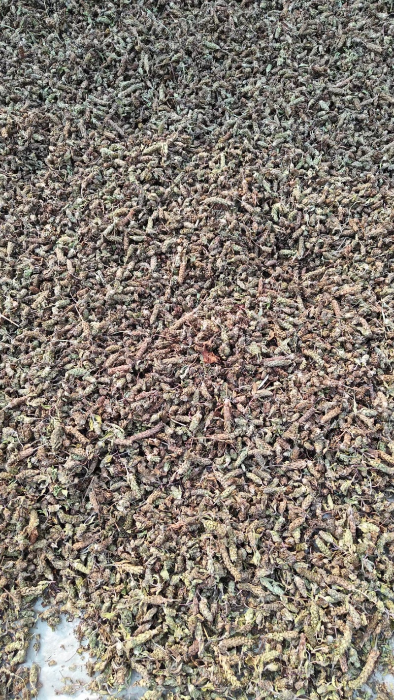 野生夏枯球上货了需要的联系贵州货野生的量不大需要抓紧下单