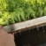 云南水漂苗:生菜苗，大量有货，欢迎各位老板咨询采购