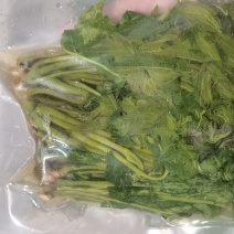 香椿，电商香椿咸菜全部现货，