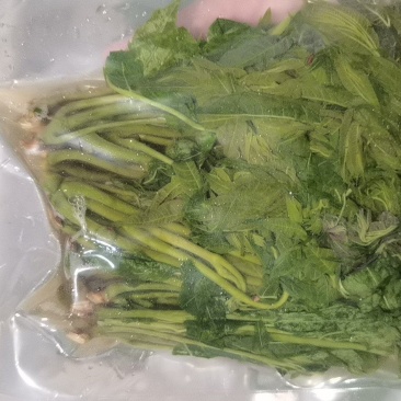 香椿，电商香椿咸菜全部现货，