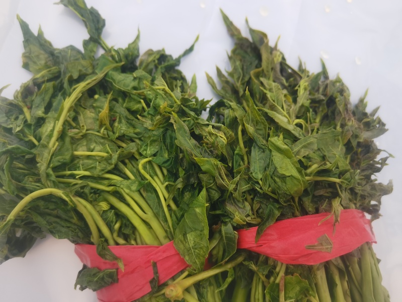 香椿，电商香椿咸菜全部现货，
