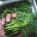 香椿，电商香椿咸菜全部现货，