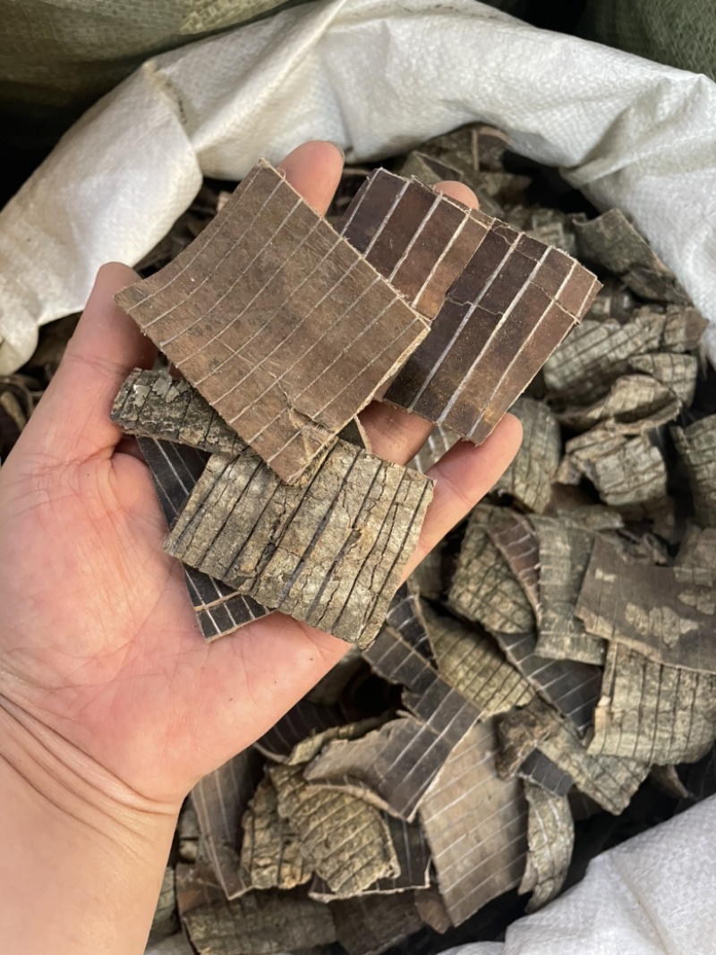 杜仲老树皮杜仲各规格大量现货诚信经营一件代发