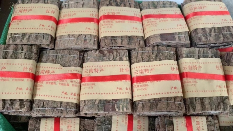 杜仲老树皮杜仲各规格大量现货诚信经营一件代发