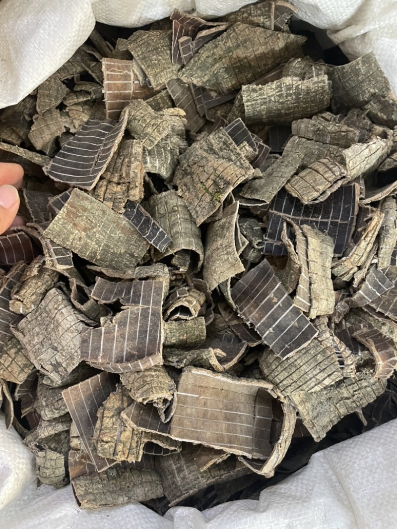 杜仲老树皮杜仲各规格大量现货诚信经营一件代发