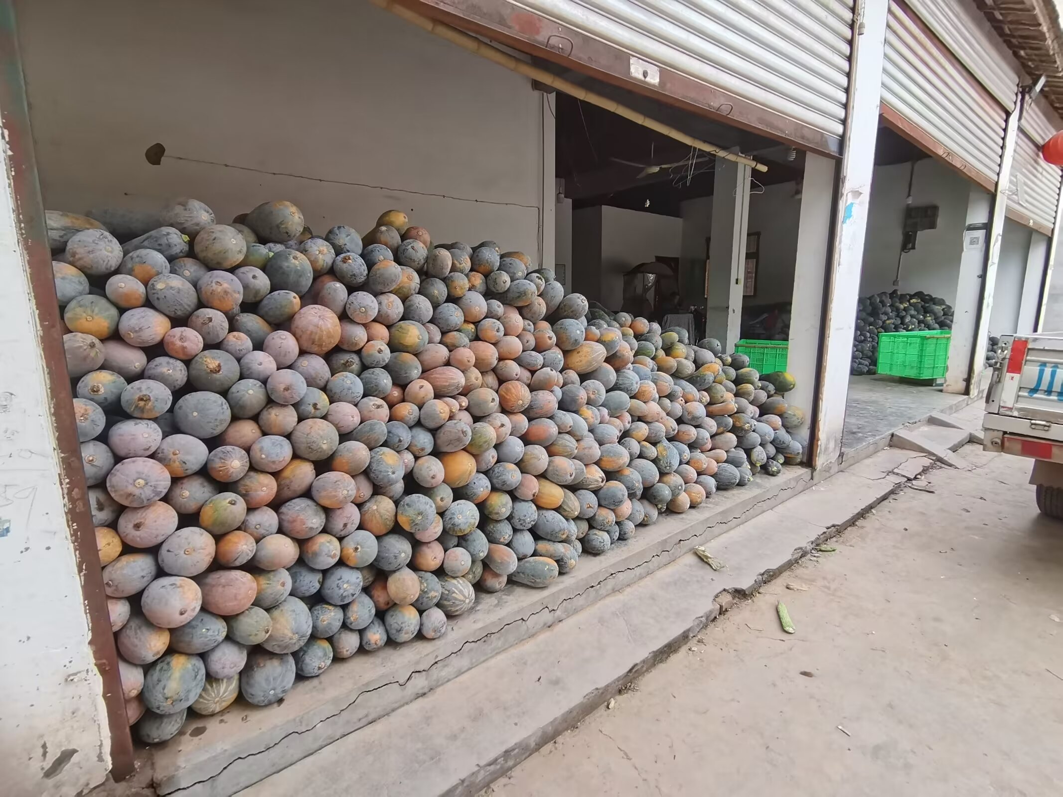 南瓜与胃肠功能紊乱关系图