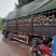 弯瓜黄狼南瓜粉糯面甜四川南瓜产地直供量大价优欢迎电联