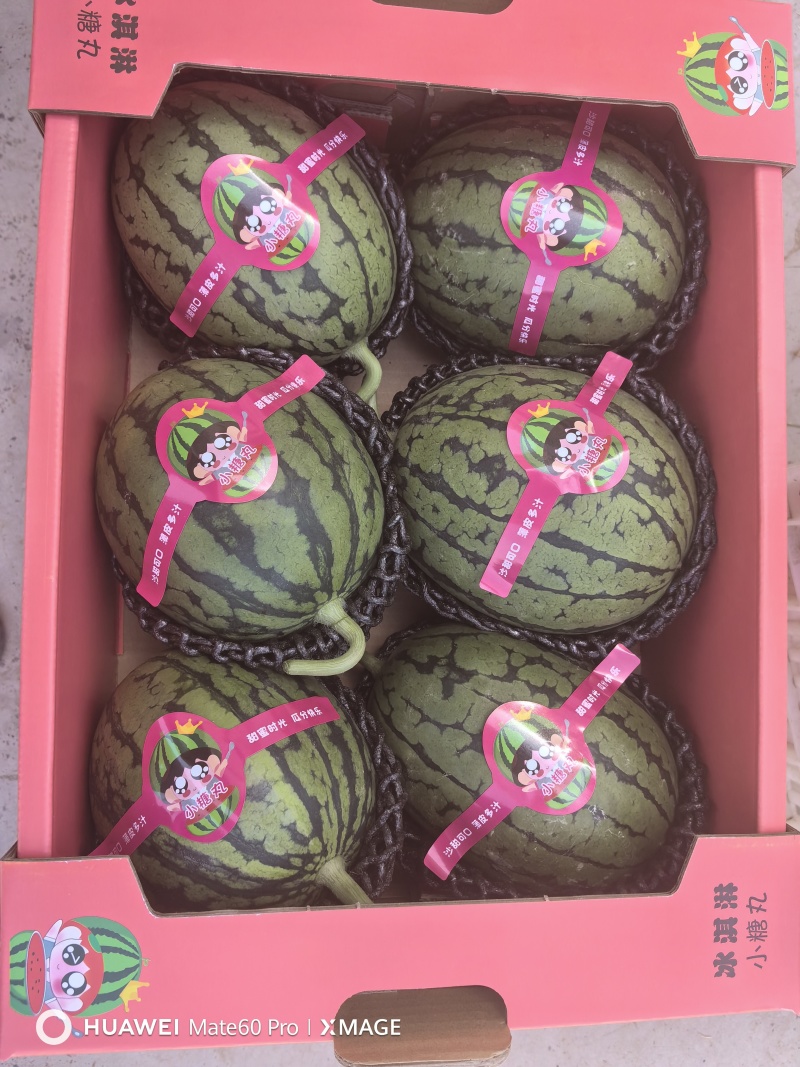 2K小糖丸西瓜，大量上市。欢迎各位老板前来选购