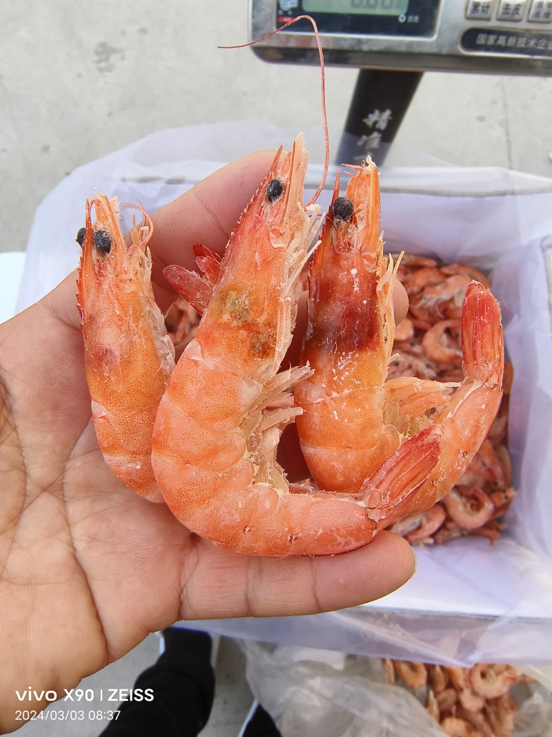盐田大对虾煮熟后冷冻而成，肉质鲜嫩可口，直接可以食用。