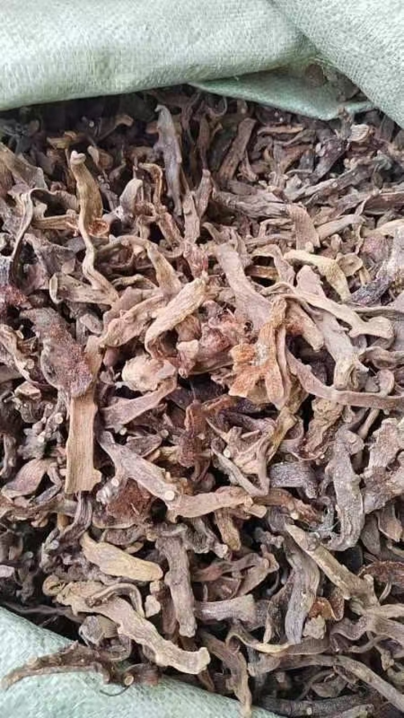 骨碎补