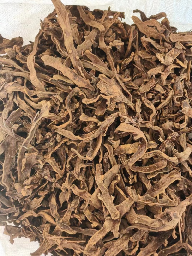 骨碎补