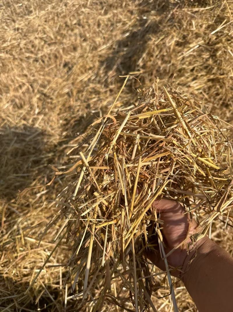 一次成型大方捆