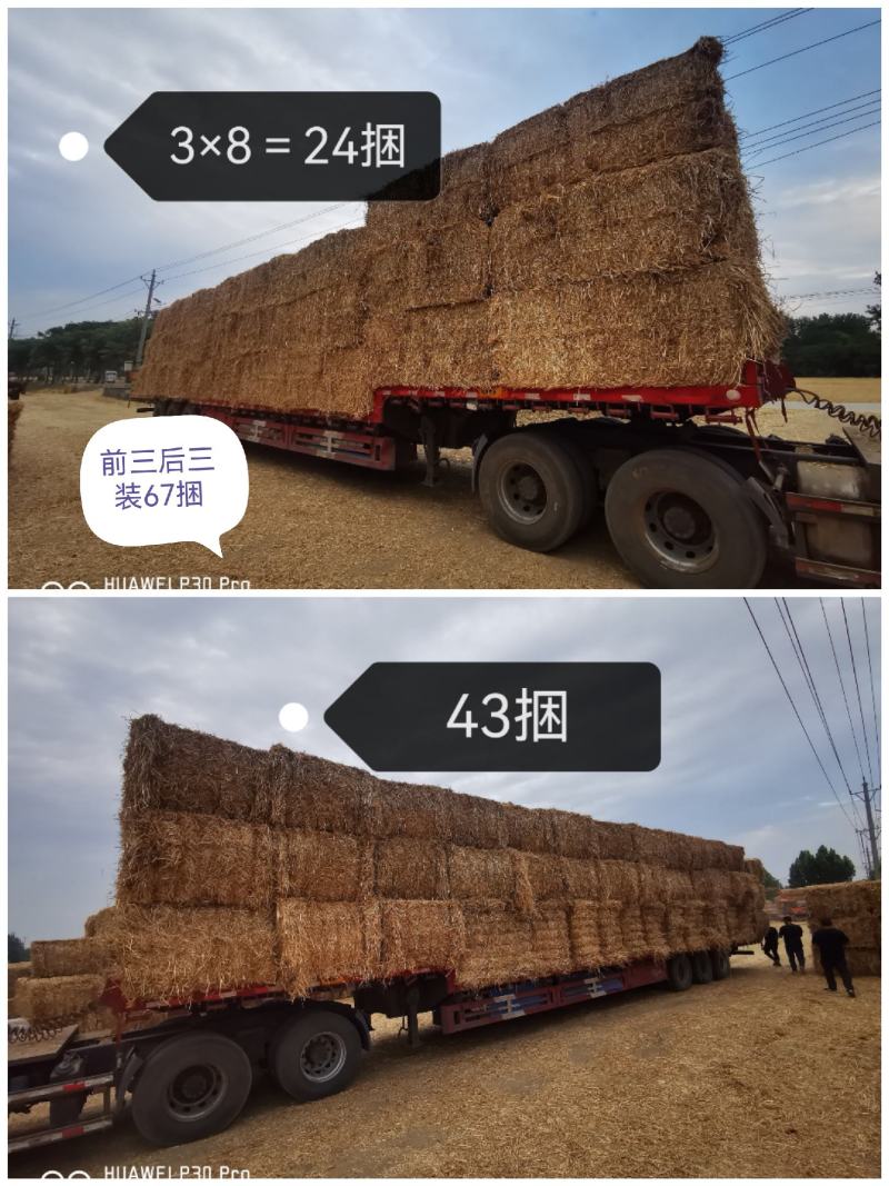 一次成型大方捆