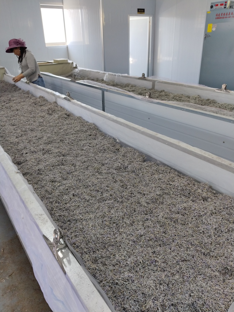 我这是湖南省张家界市永定区罗塔坪莓茶发源地，一手货源。