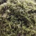 我这是湖南省张家界市永定区罗塔坪莓茶发源地，一手货源。