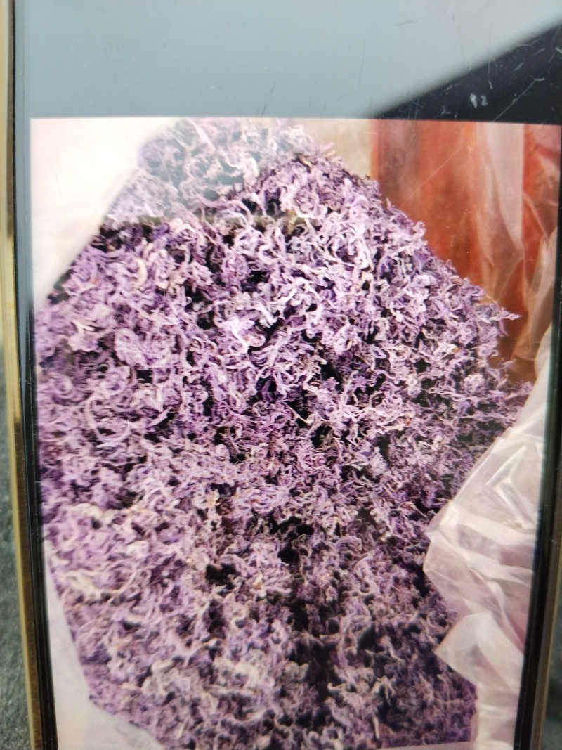 我这是湖南省张家界市永定区罗塔坪莓茶发源地，一手货源。