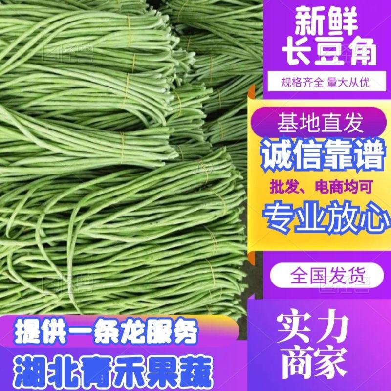湖北新鲜长豆角青条豆角缸豆支持泡水加冰打冷