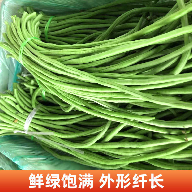 湖北新鲜长豆角青条豆角缸豆支持泡水加冰打冷