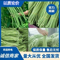 【牛商推荐】湖北新鲜长豆角缸豆豇豆全国发货量大从优