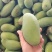 百色金煌芒果带箱5斤净果4斤7-10个果落地配