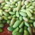 百色金煌芒果带箱5斤净果4斤7-10个果落地配