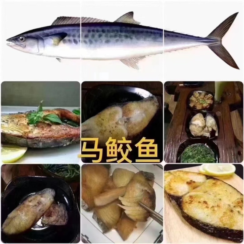 马胶鱼片湛江特产马胶鱼片原味淡味可定制长期供应批发
