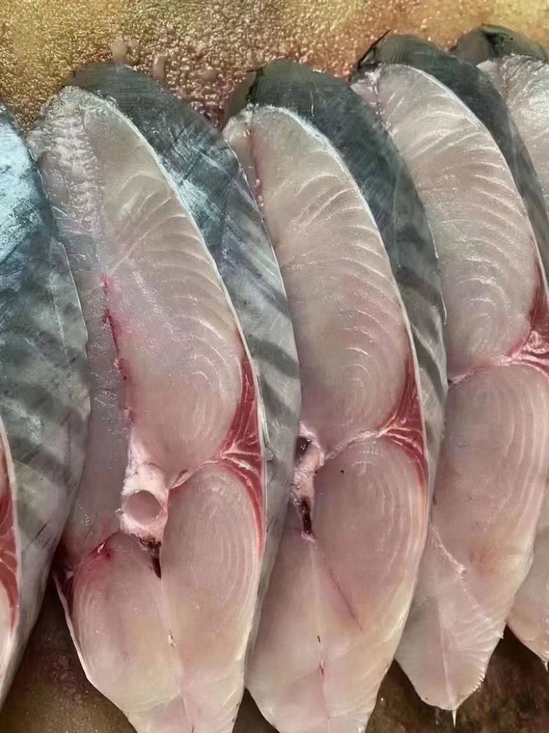 马胶鱼片湛江特产马胶鱼片原味淡味可定制长期供应批发