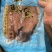 马胶鱼片湛江特产马胶鱼片原味淡味可定制长期供应批发