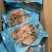 马胶鱼片湛江特产马胶鱼片原味淡味可定制长期供应批发