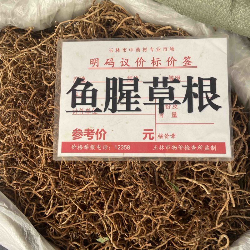 鱼腥草根