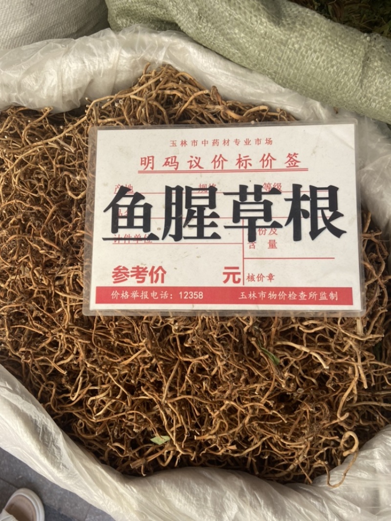 鱼腥草根