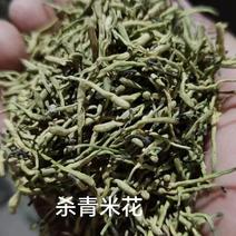 重庆秀山核心产区一级优质“杀青米花”（无硫）25吨
