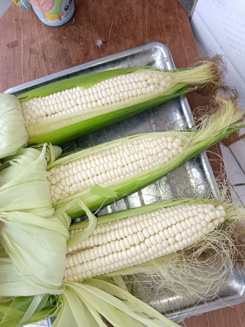 绵阳白糯玉米2000188工厂货电商货大量发货。