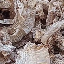 蛇蜕龙衣蛇皮水洗干净无沙土一手货源欢迎采量大从优