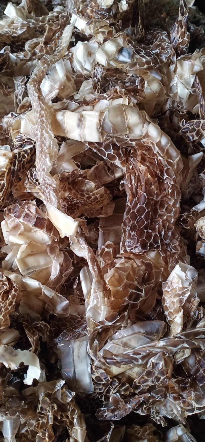 蛇蜕龙衣蛇皮水洗干净无沙土一手货源欢迎采量大从优