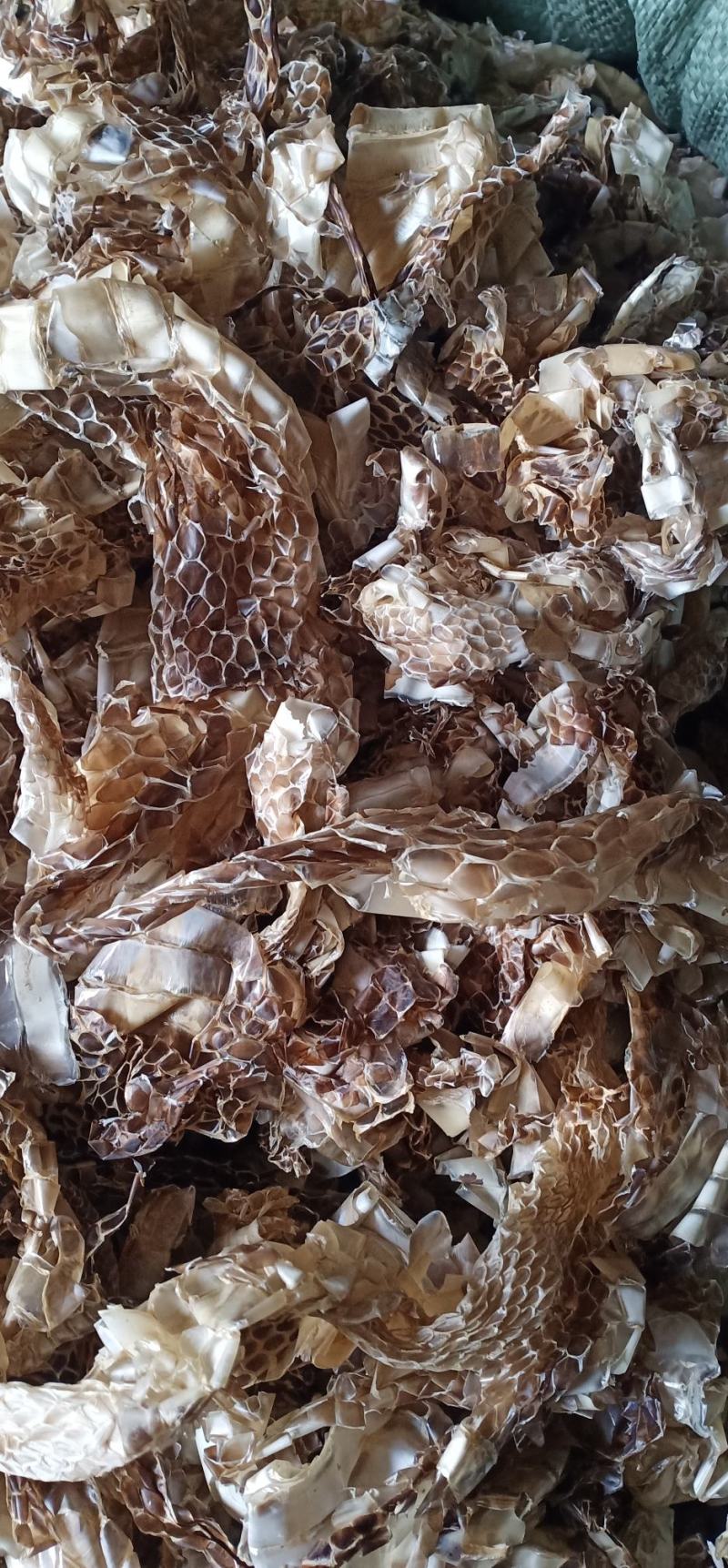 蛇蜕龙衣蛇皮水洗干净无沙土一手货源欢迎采量大从优