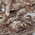 蛇蜕龙衣蛇皮水洗干净无沙土一手货源欢迎采量大从优