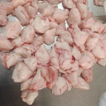 猪蘑菇筋，烧烤蘑菇筋，厂家直发，量大价优